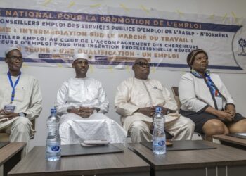 N&rsquo;djamena : Clôture de la formation des conseillers emploi de l’AASEP