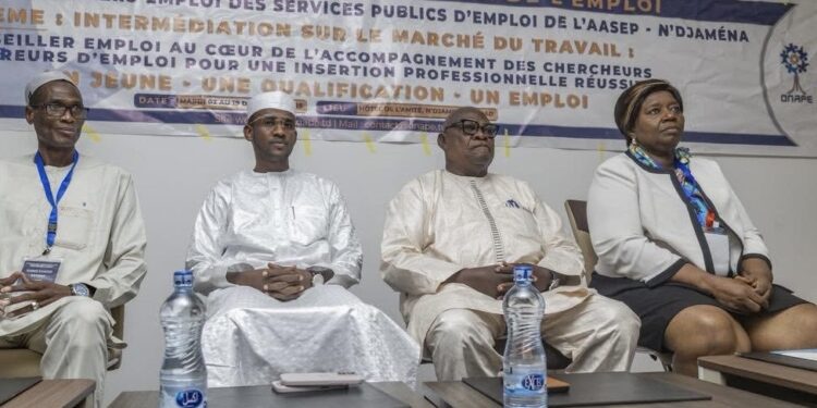 N&rsquo;djamena : Clôture de la formation des conseillers emploi de l’AASEP