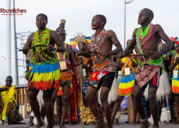 ​Tchad : Le Logone Occidental fait vibrer le Festival Dary au rythme de ses terroirs