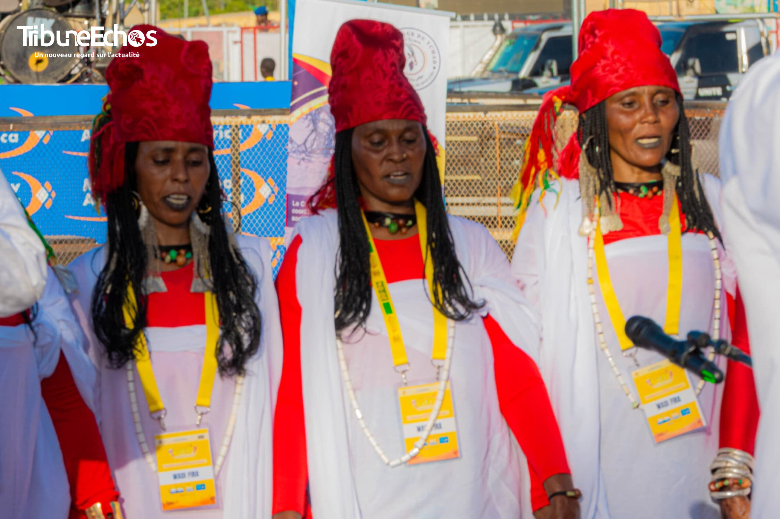 ​Tchad : Les danses traditionnelles du Wadi-Fira à l&rsquo;honneur au Festival Dary