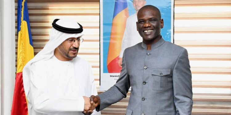 ​Tchad : N’Djamena et Abu Dhabi accélèrent leur coopération industrielle