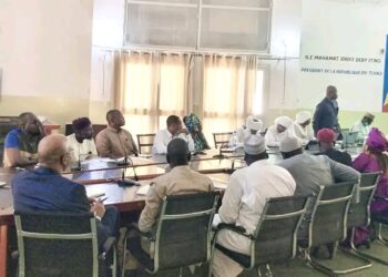 Tchad : Présentation du bilan fourrager de la campagne 2025-2026 au Ministre de l&rsquo;élevage