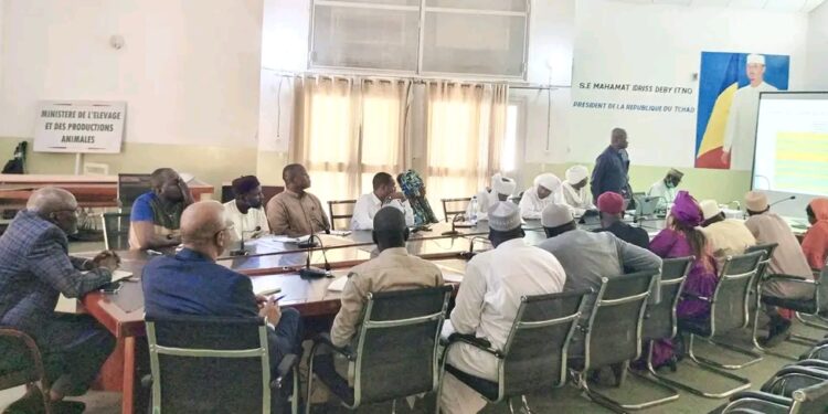 Tchad : Présentation du bilan fourrager de la campagne 2025-2026 au Ministre de l&rsquo;élevage