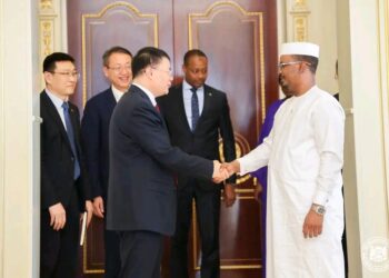 Tchad : Le Chef de l&rsquo;État reçoit une délégation de la CNPCI