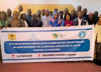 Tchad : Clôture des travaux de la revue annuelle du projet de renforcement de la surveillance épidémiologique.