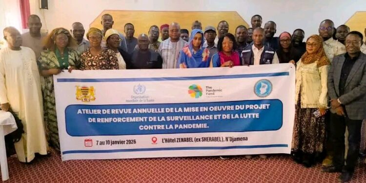 Tchad : Clôture des travaux de la revue annuelle du projet de renforcement de la surveillance épidémiologique.