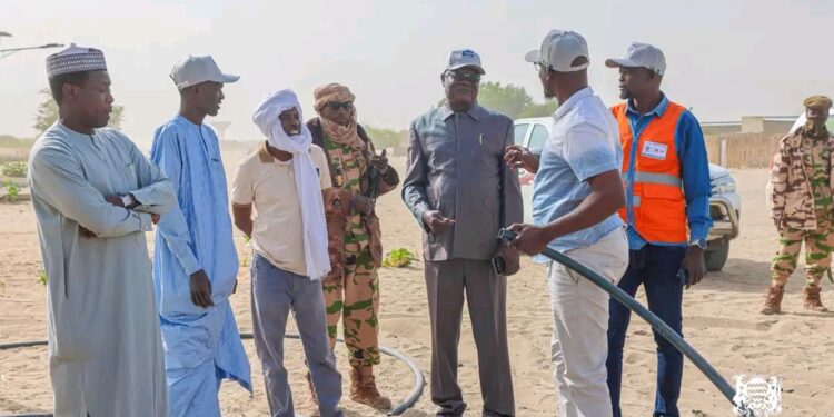 Bol : Une mission inspecte les locaux destinés à accueillir le projet DTS, récemment vandalisés.