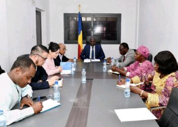 Tchad : Entretien entre le Ministre du Commerce et le Groupe China Economic Trade Magazine