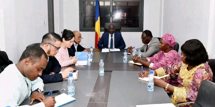 Tchad : Entretien entre le Ministre du Commerce et le Groupe China Economic Trade Magazine