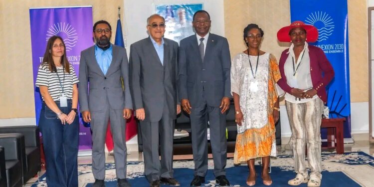 Tchad : La Commission africaine des droits de l’Homme reçue par le PM