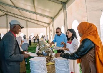 Éthiopie : Le Premier ministre inaugure le Village intégré de Tulu Arara