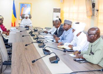 Tchad : Le Ministre de la santé échanges avec les responsables de la CSU et de l&rsquo;ANR