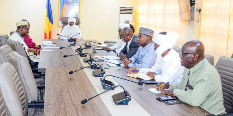 Tchad : Le Ministre de la santé échanges avec les responsables de la CSU et de l&rsquo;ANR