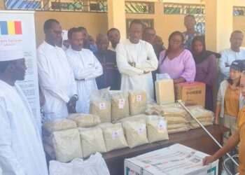 Tchad : L&rsquo;ITRAD reçoit des semences innovantes de la Chine pour booster la production du riz