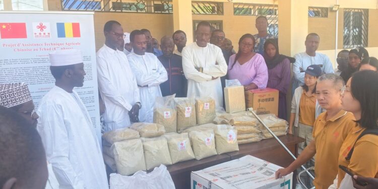 Tchad : L&rsquo;ITRAD reçoit des semences innovantes de la Chine pour booster la production du riz
