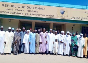 ​Tchad : Le MEPA mobilise les acteurs de l’élevage pour une campagne de vaccination d’envergure