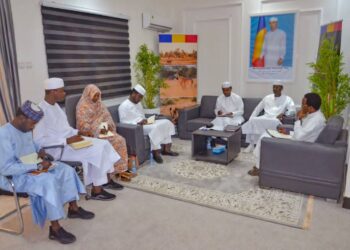 ​Tchad : Les élus de l’Ennedi Est consultés sur la gestion de la Réserve Naturelle et Culturelle