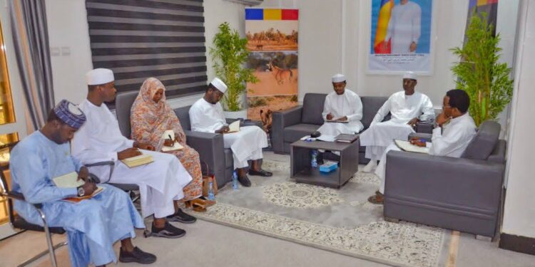 ​Tchad : Les élus de l’Ennedi Est consultés sur la gestion de la Réserve Naturelle et Culturelle