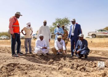 ​Tchad : Le projet de fibre optique transsaharienne sous la menace du vandalisme à Massakory