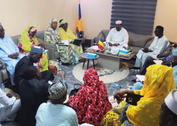 ​Tchad : Le gouvernement rappelle les élus locaux à l’ordre​