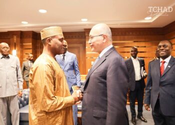 ​Diplomatie : Le nouveau patron du HCR réserve son premier déplacement au Tchad