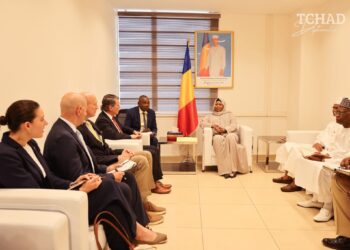 Washington et N’Djamena renforcent leur front commun contre le terrorisme au Sahel