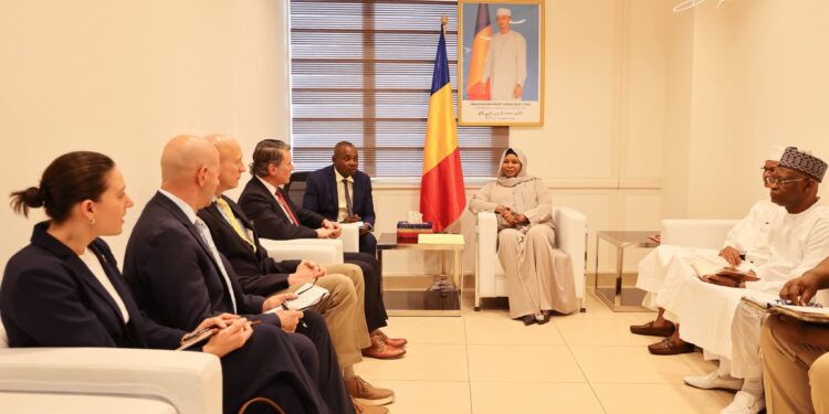 Washington et N’Djamena renforcent leur front commun contre le terrorisme au Sahel