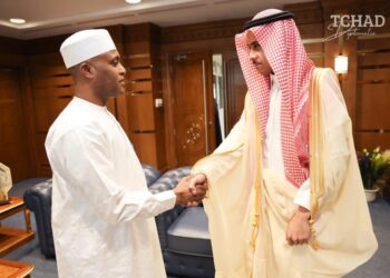 N’Djamena et Riyad réaffirment leur volonté de raffermir la coopération bilatérale​