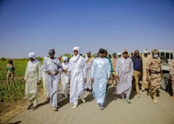 ​Tchad : Urgence climatique dans le Lac, le ministre Hassan Bakhit Djamous sur le front des polders