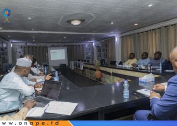 ​Tchad : L&rsquo;ONAPE et la mairie de N&rsquo;Djamena lancent le projet « Emploi et Ville »