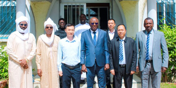 ​Tchad : Le ministère de l’Énergie et le chinois Energy Storage System Solution Expert s’accordent sur une coopération technique