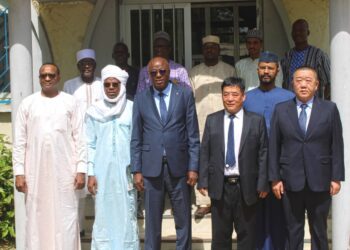 ​Tchad : Luanqin International accélère le déploiement de 200 MW d&rsquo;énergie solaire