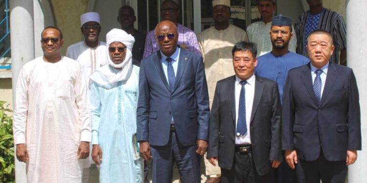 ​Tchad : Luanqin International accélère le déploiement de 200 MW d&rsquo;énergie solaire