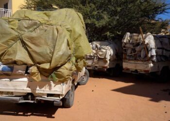 ​Tchad : L&rsquo;Ennedi en lutte contre le « vandalisme environnemental »