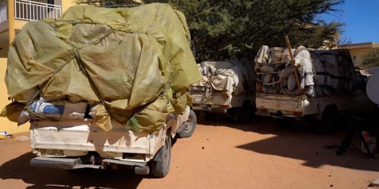 ​Tchad : L&rsquo;Ennedi en lutte contre le « vandalisme environnemental »
