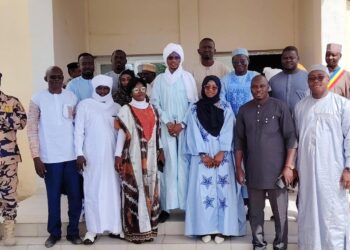 Bol : Réunion du comité directeur des systèmes de santé