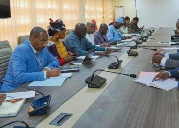 Tchad : Rencontre entre la Secrétaire d&rsquo;État à la Santé et les lauréats du CIESPAC