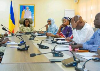 Tchad : Rencontre entre la Secrétaire d&rsquo;État à la Santé et le collectif des ophtalmologues en instance d&rsquo;intégration