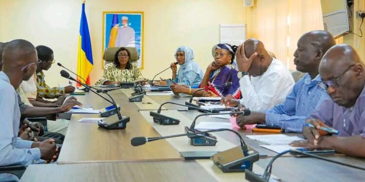 Tchad : Rencontre entre la Secrétaire d&rsquo;État à la Santé et le collectif des ophtalmologues en instance d&rsquo;intégration