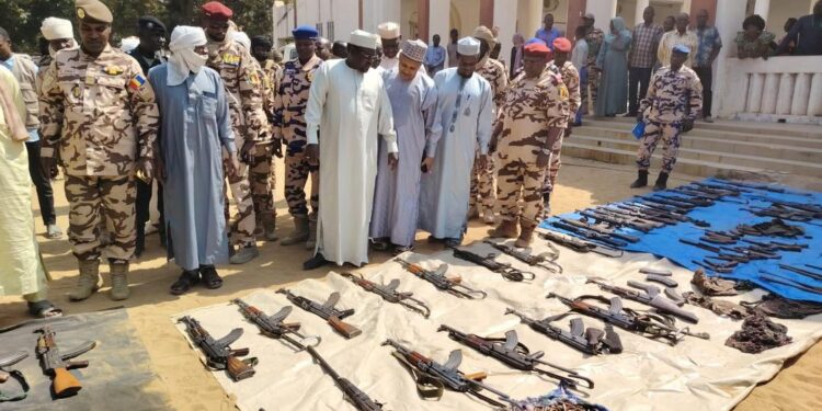 Moyen Chari : Présentation de 214 armes saisies par les FDS