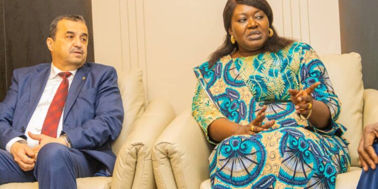 ​Tchad : L’Algérie, invitée d’honneur au sommet du partenariat minier et énergétique