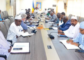 Tchad : Un projet de valorisation agronomique et énergétique des déchets présenté aux autorités