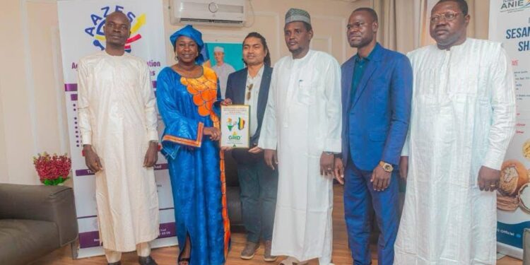 ​Tchad : L&rsquo;ANIE accélère la mise en œuvre des investissements du groupe indien GRID Private Limited