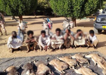 ​Batha : Coup d’arrêt au braconnage dans le Ouadi-Rimé