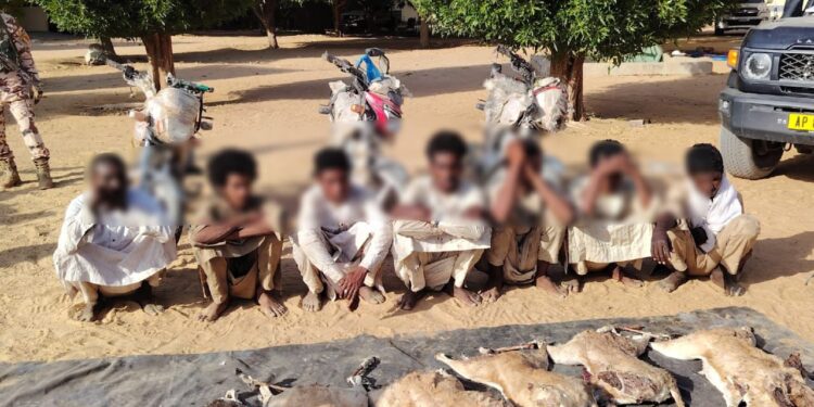 ​Batha : Coup d’arrêt au braconnage dans le Ouadi-Rimé