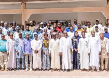 ​Tchad : Analyse et validation des données de la campagne de chimio-prévention du paludisme 2025