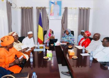 Tchad : La Cour des Comptes passe à la loupe la gestion de la HAMA