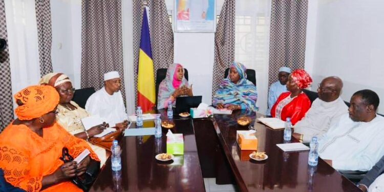 Tchad : La Cour des Comptes passe à la loupe la gestion de la HAMA