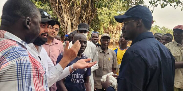 ​Logone Occidental : La CotonTchad au chevet des producteurs de Bé-Mia pour relancer « l’or blanc »