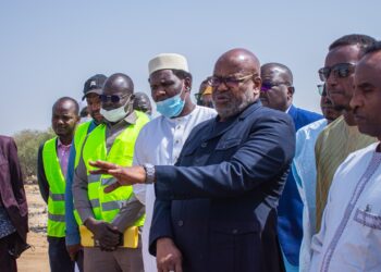 N&rsquo;Djaména : À Gredia, le ministre Mahamat Assileck Halata fixe un ultimatum aux propriétaires